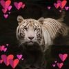charlotte_potts